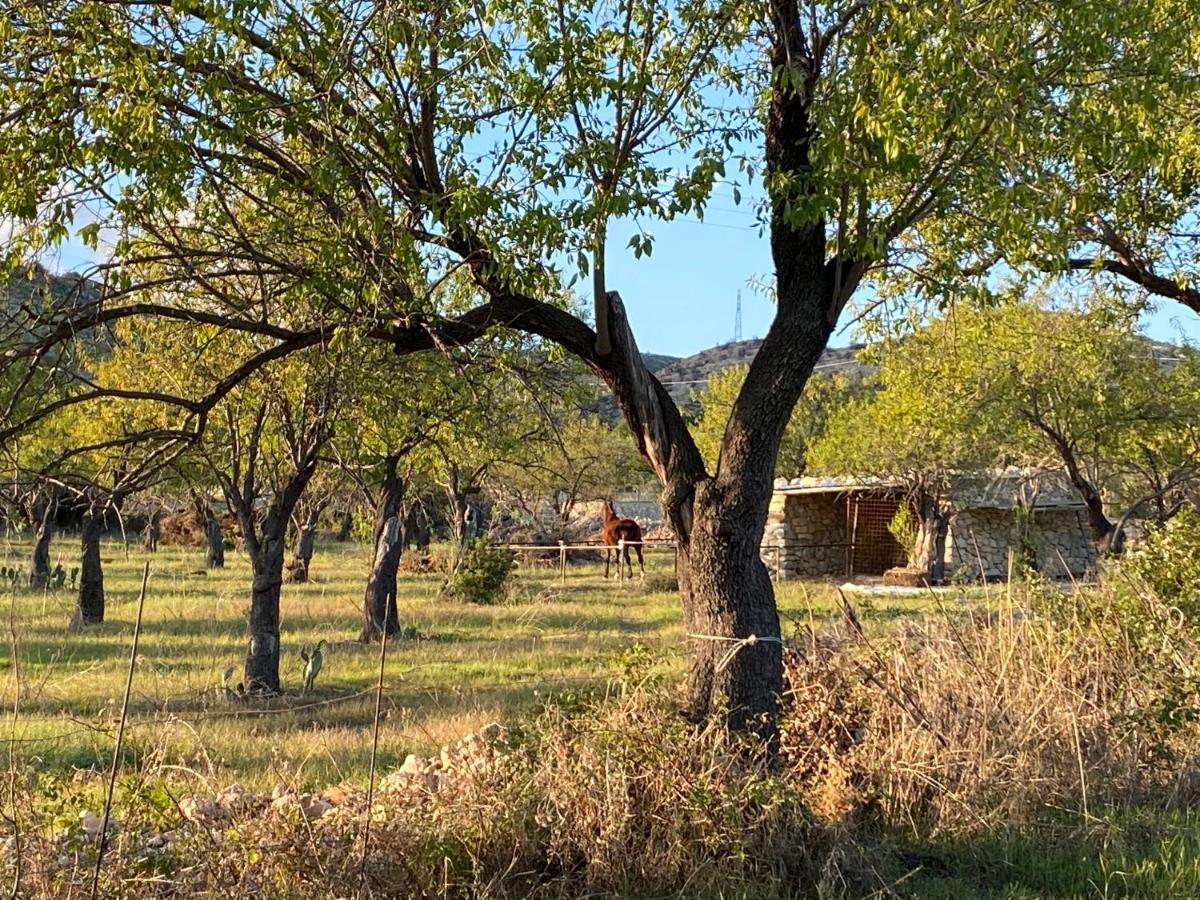 Masseria Usamborgia โนโต ภายนอก รูปภาพ